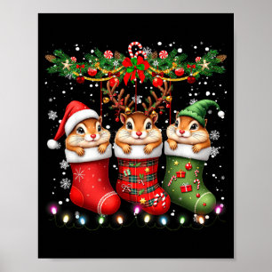 Poster Tâmia Em Meias De Natal Luzes Tâmia Natal