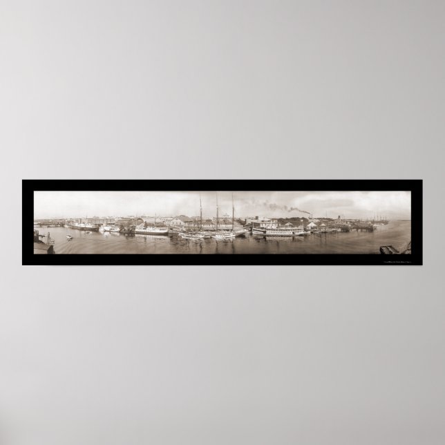 Poster Tampa, Foto FL 1909 (Frente)