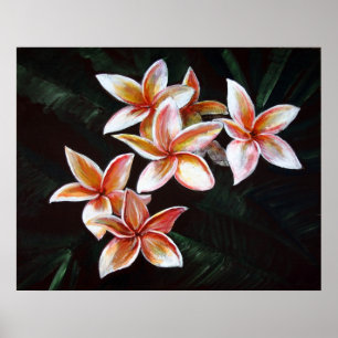 Poster Tan Plumeria