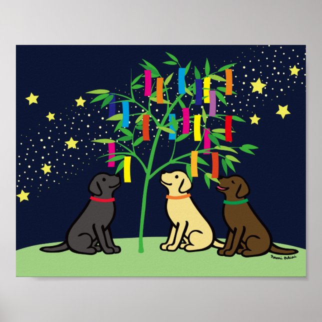 Poster Tanabata Labrador Retriever Stars e Via Látea (Frente)