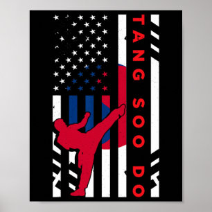Poster Tang Soo Do Martial Arts Karate Flag Wome American
