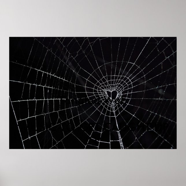 Poster Tangues na Web (Frente)