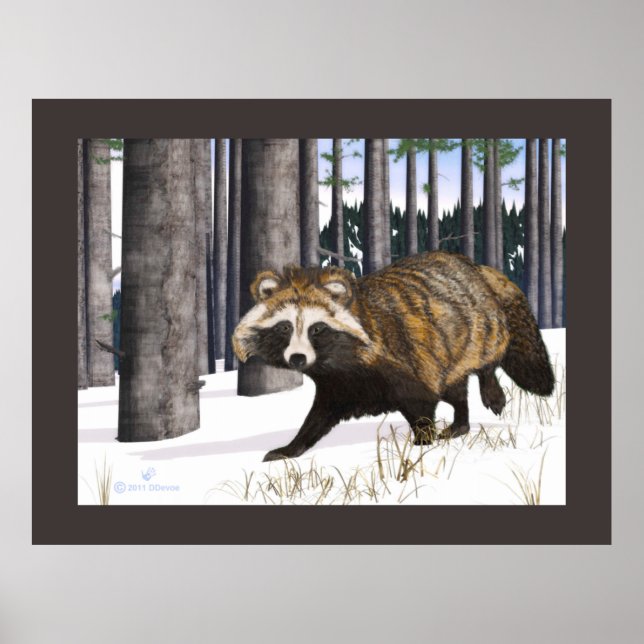 Póster Tanuki - Cão Raccoon (Frente)