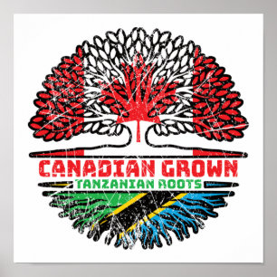 Poster Tanzânia Tanzânia Canadaniana Canada Tree Roots Fl