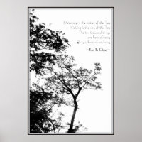 Tao Te Ching/Sunset Tree B&W Fotografia