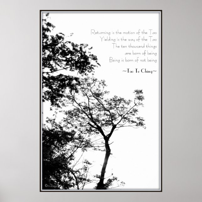 Poster Tao Te Ching/Sunset Tree B&W Fotografia (Frente)