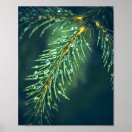 Poster Tapeçaria da Natureza: Capturando a Beleza das Fol