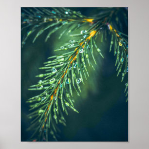 Poster Tapeçaria da Natureza: Capturando a Beleza das Fol