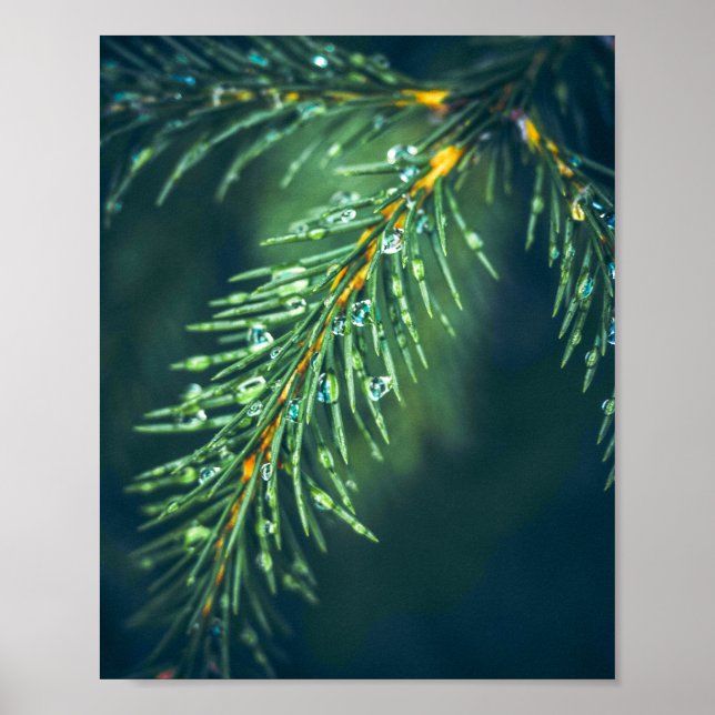 Poster Tapeçaria da Natureza: Capturando a Beleza das Fol (Frente)