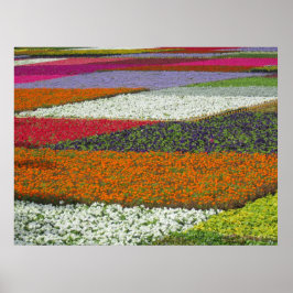 Poster Tapete de Flores