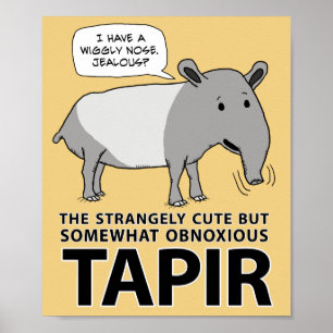 Poster Tapir Engraçado e Bonito, Mas Obnoso