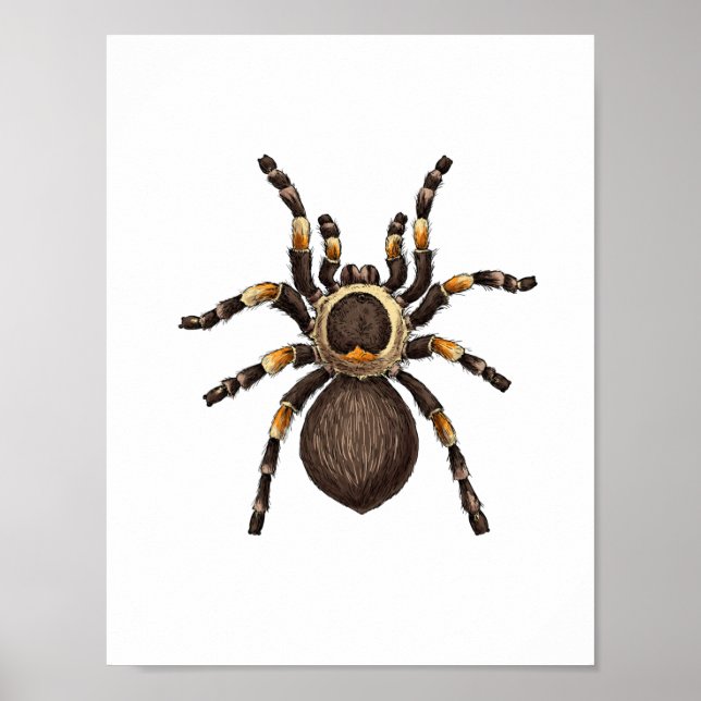 Poster Tarantula (Frente)