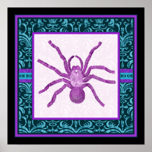 Póster Tarantula - beira elegante da cerceta & do damasco