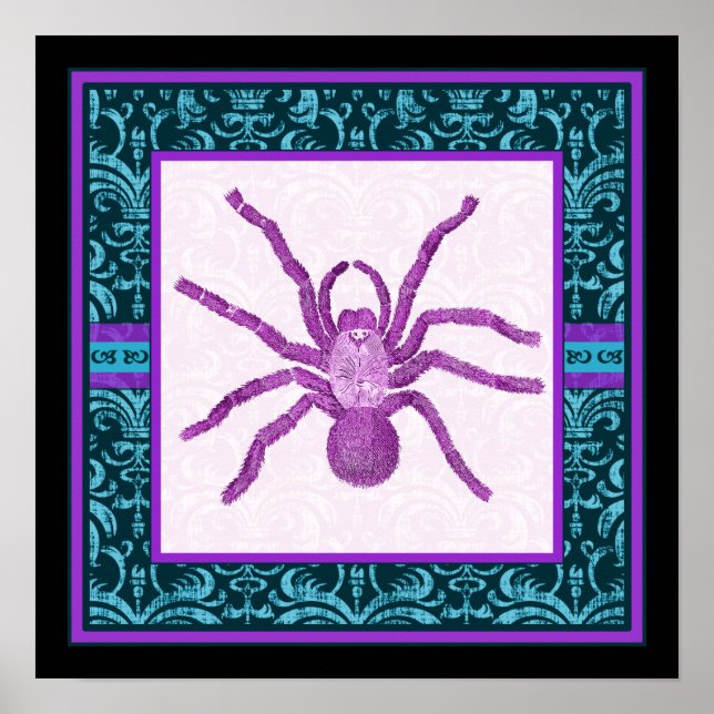Póster Tarantula - Borda do Teal Elegante e Fuschia Damas (Frente)