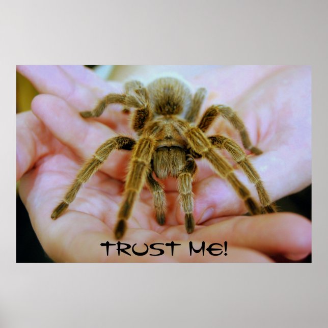 Póster Tarantula, Confie Em Mim! (Frente)