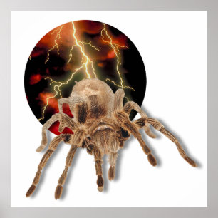 Poster Tarantula Lightning
