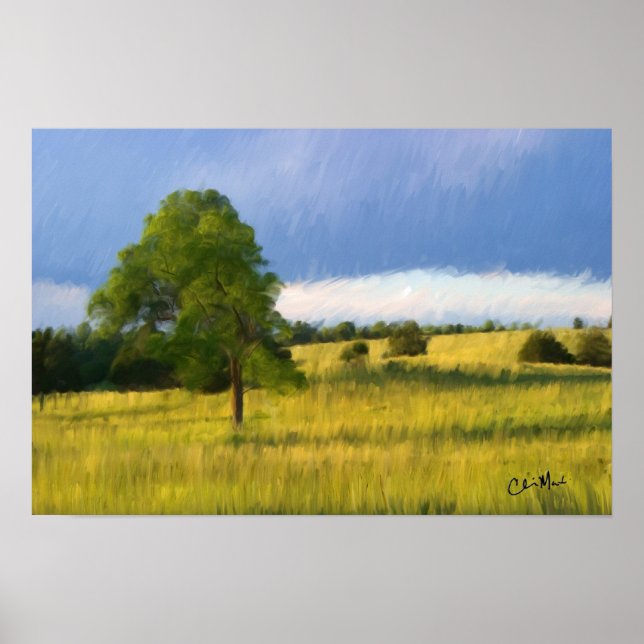 Poster Tarda noite de Verão - Pintura (Frente)