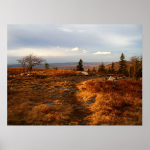 Póster Tarde da tarde sobre os Sods