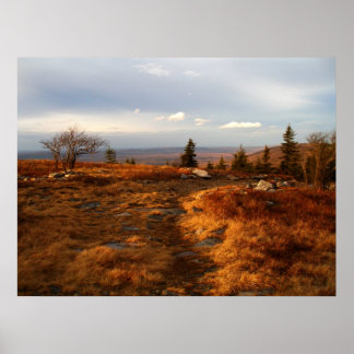 Póster Tarde da tarde sobre os Sods