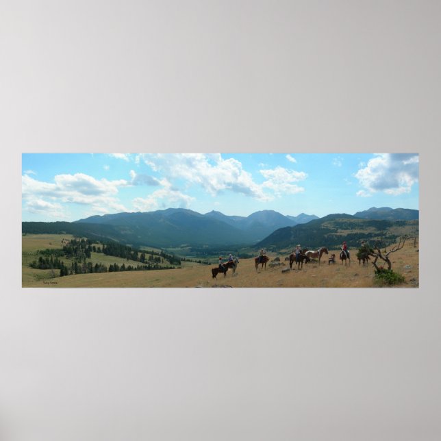 Póster Tarde em Sweegrass (Frente)