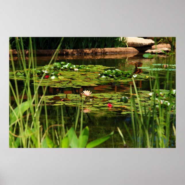 Póster Tarde Idílica (Frente)