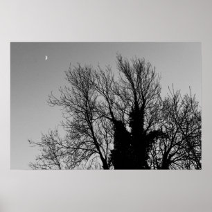 Poster Tarde medieval do inverno