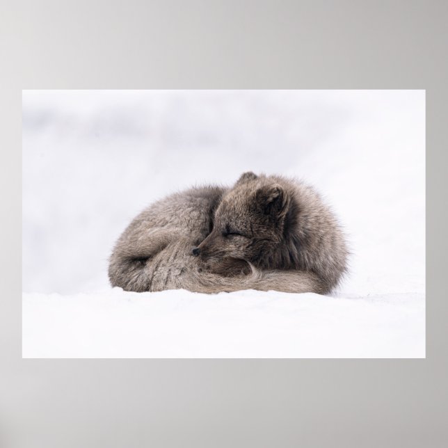 POSTER TARDE SIESTA (Frente)