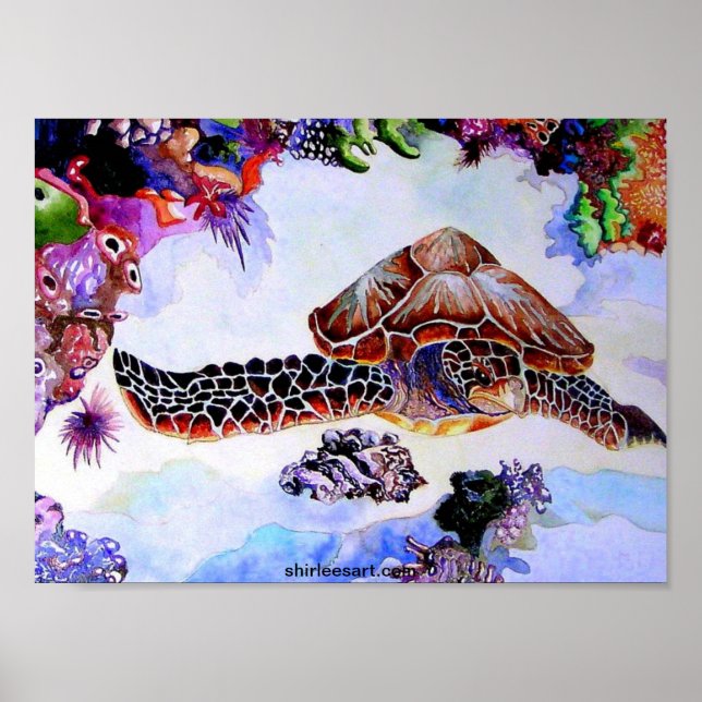 Poster tartaruga (Frente)