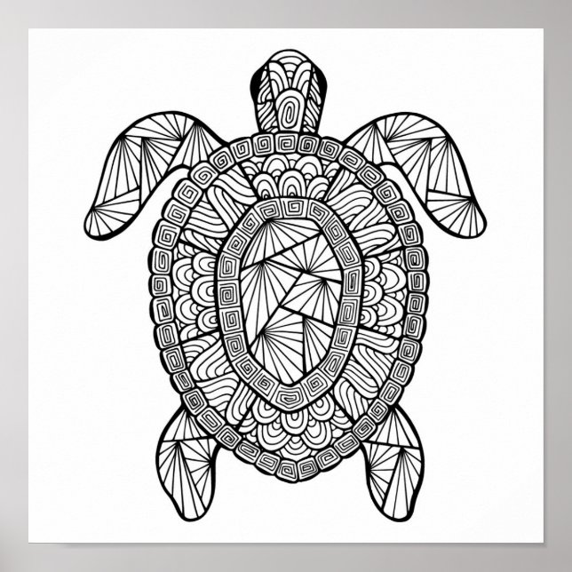 Poster Tartaruga 2 inspirada (Frente)