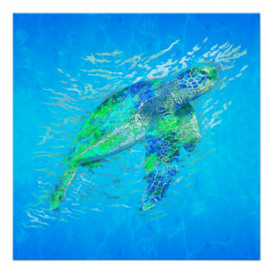 Póster Tartaruga de mar