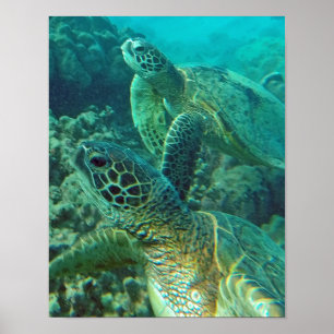 Póster Tartaruga de mar de Havaí