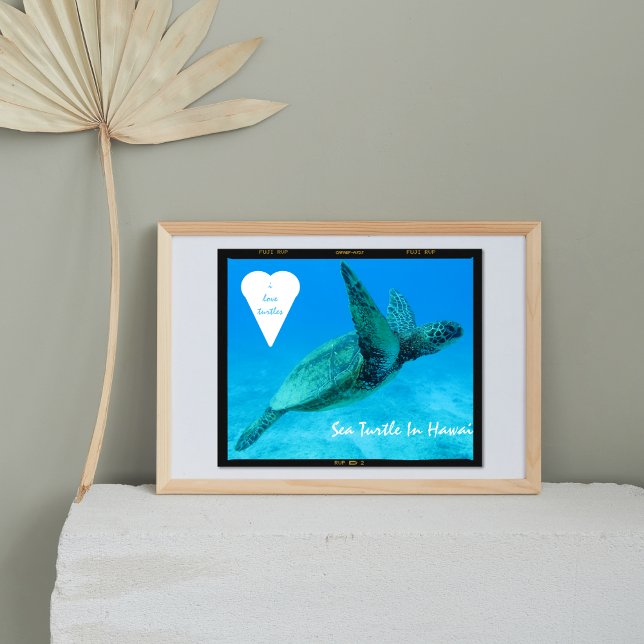 Poster Tartaruga do Mar Azul no coração tartarugas do Hav (Criador carregado)