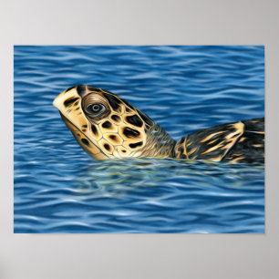 Poster Tartaruga do Mar de Basking Hawksbill