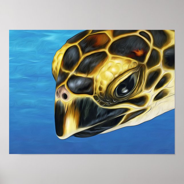 Poster Tartaruga do Mar de Hawksbill (Frente)
