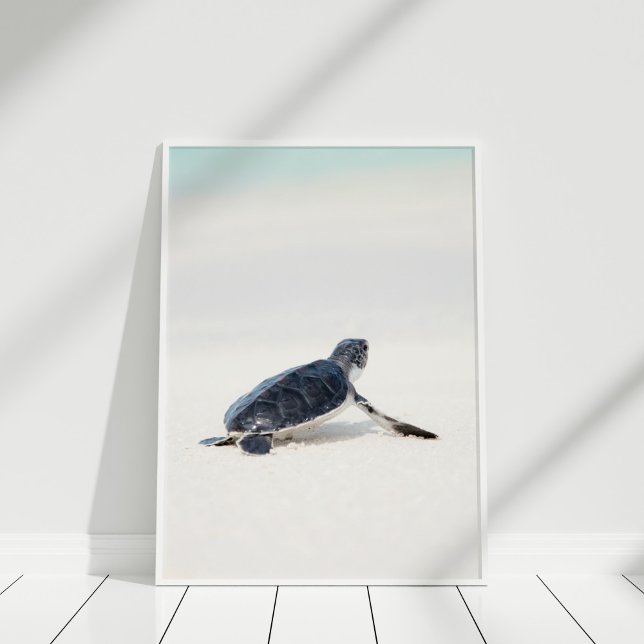 Poster Tartaruga do Mar do Bebê na Praia (Cute Baby Sea Turtle on the Beach Poster in white frame on white floor.)