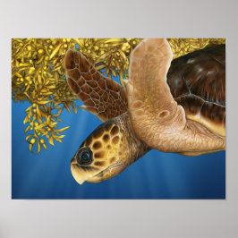 Poster Tartaruga do Mar Estilizada Loggerhead com Sargass