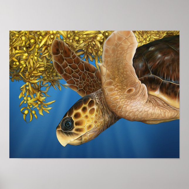 Poster Tartaruga do Mar Estilizada Loggerhead com Sargass (Frente)