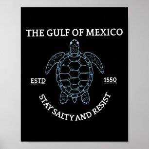 Poster Tartaruga Do Mar Gráfico Do Golfo Do México Est 15