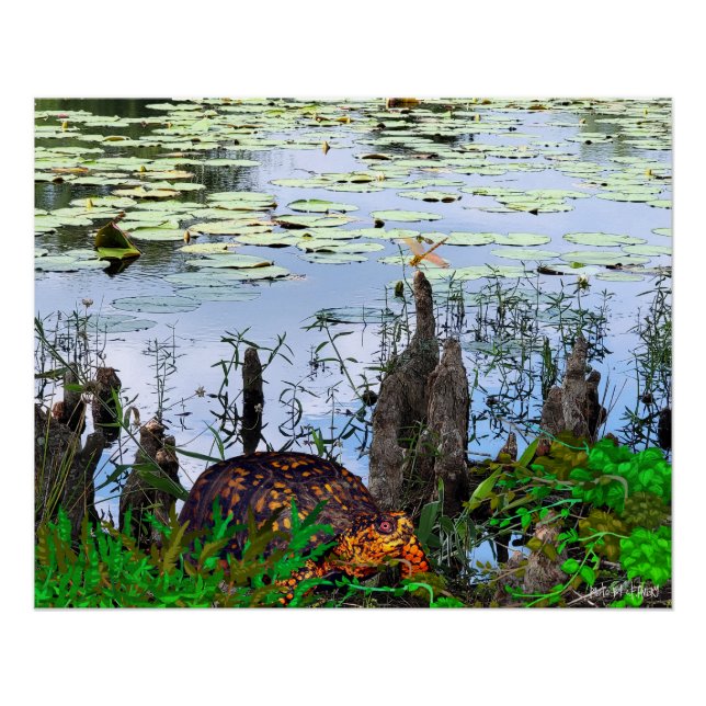 Póster Tartaruga Libélula Pneumatophores Lagoa (Frente)