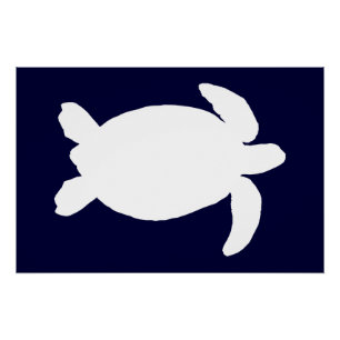 Póster Tartaruga Marinha Azul e Branca