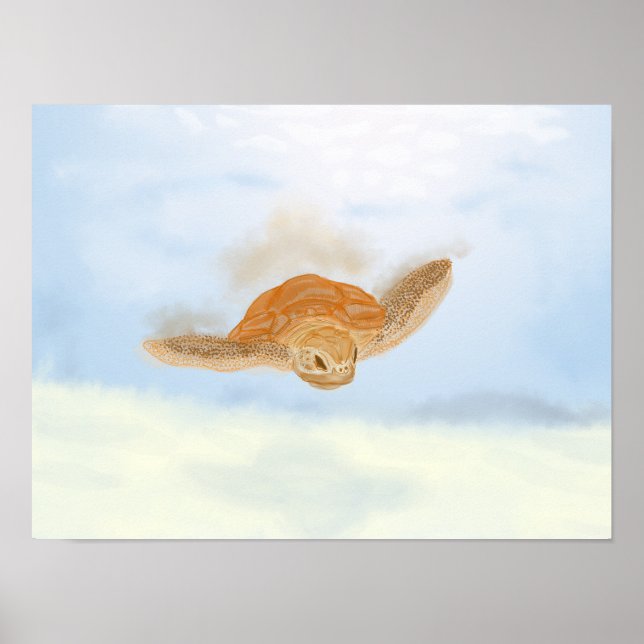Poster Tartaruga marinha debaixo de água. (Frente)