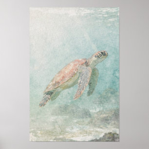 Poster Tartaruga Marinha em Água Costeira Azul Claro Verd