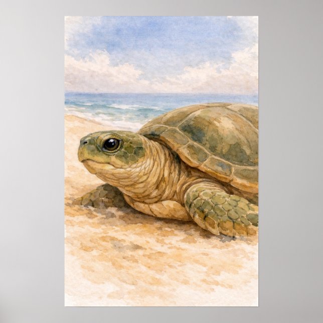 Poster Tartaruga Marinha Praia Oceânica (Frente)