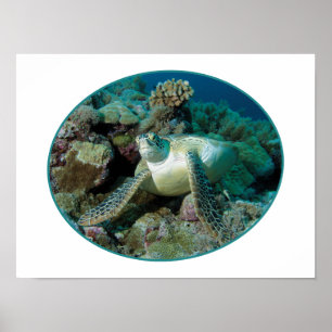 Poster Tartaruga Marinha Verde em corais - Design Fotográ
