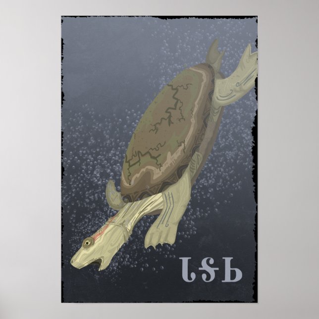 Póster Tartaruga Mergulha Muito Profunda (Frente)