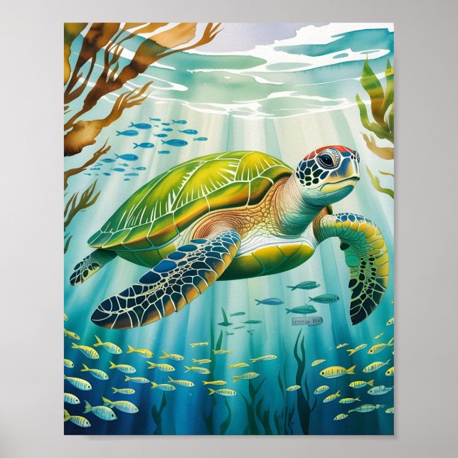 Poster Tartaruga Pintada (Frente)