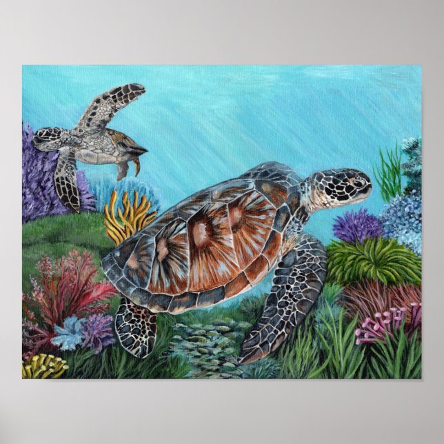 Poster Tartarugas Marinhas (Frente)