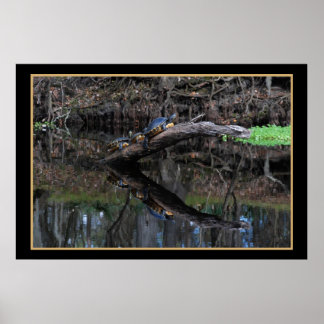 Póster Tartarugas No Rio Fe, Papais noeis 520