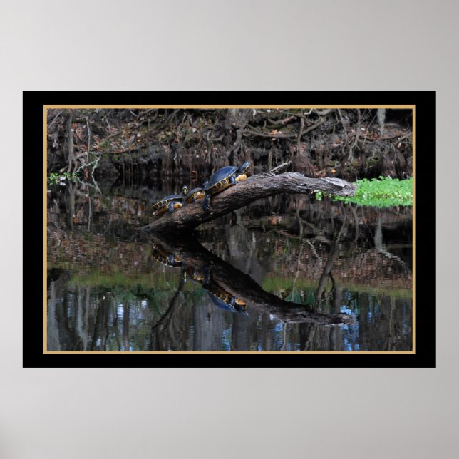 Póster Tartarugas No Rio Fe, Papais noeis 520 (Frente)