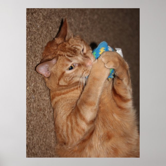 Poster Tater (Frente)